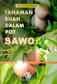 Image of Tanaman Buah Dalam Pot SAWO